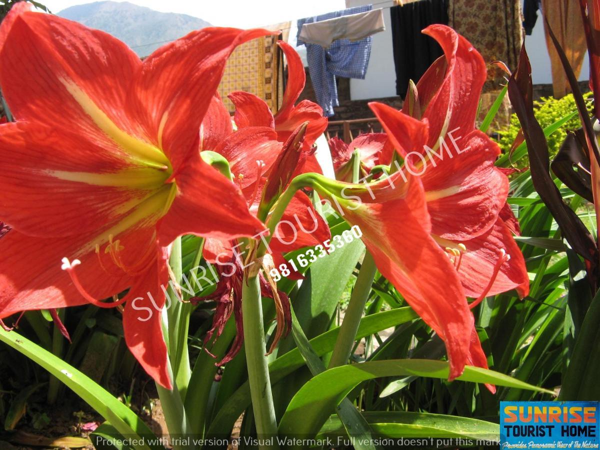 Sunrise Tourist Home Dharamsala Exteriér fotografie